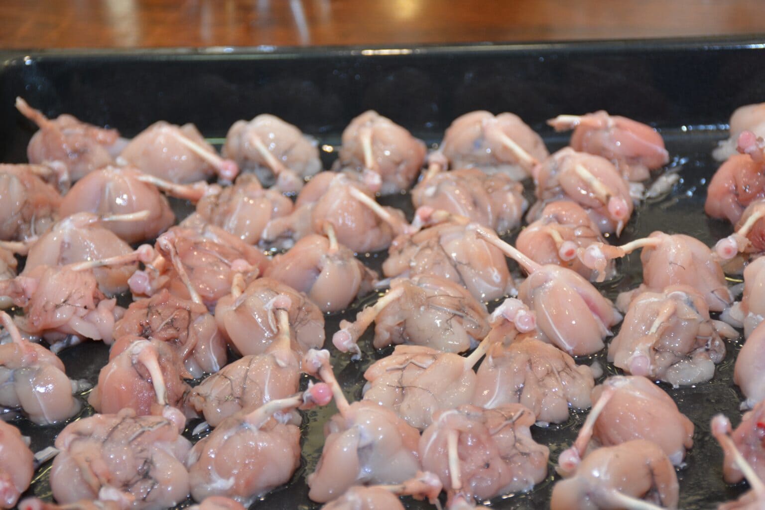 Can Dogs Eat Chicken Gizzards? VetReviewed Nutrition Facts Hepper