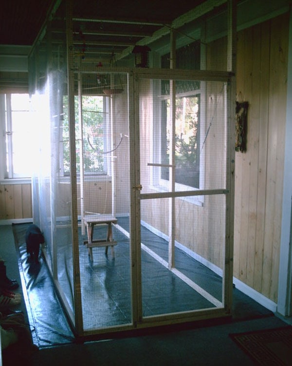 DIY Walk-In Bird Aviary From Instructables