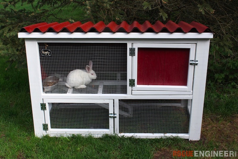 DIY rabbit hutch