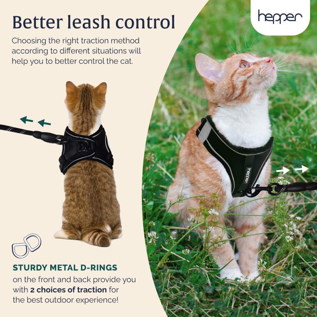 Sleek Cat Harness And Leash Set photo