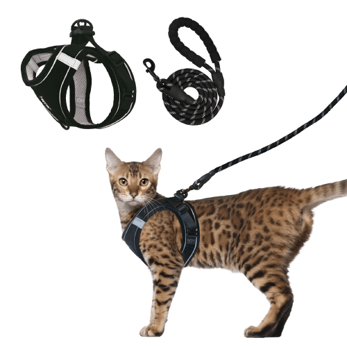 hepper harness and leash set