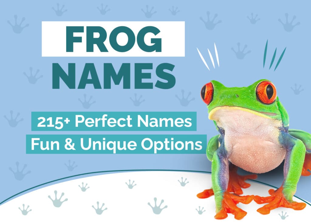 Hepper_Frog Names