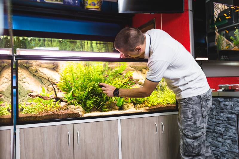 man cleaning aquarium using magnetic fish tank cleaner