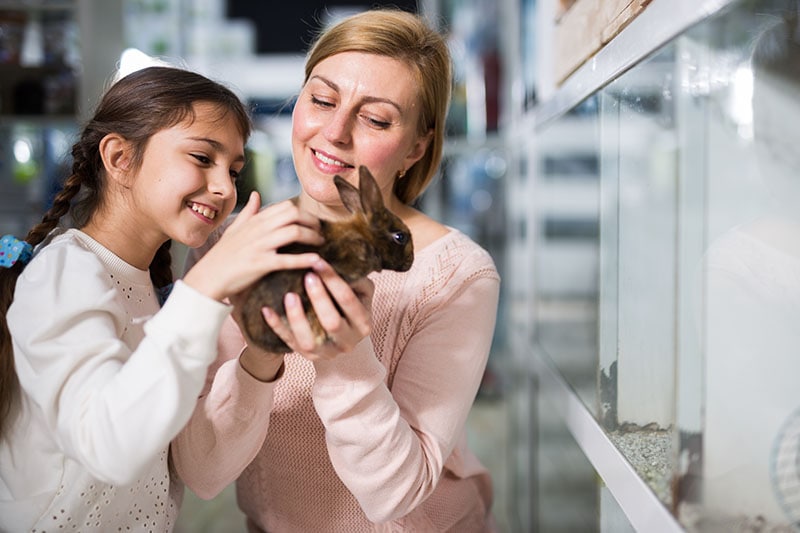 Where Should I Buy a Pet Rabbit? 4 Places You Can Check Out Today | Hepper