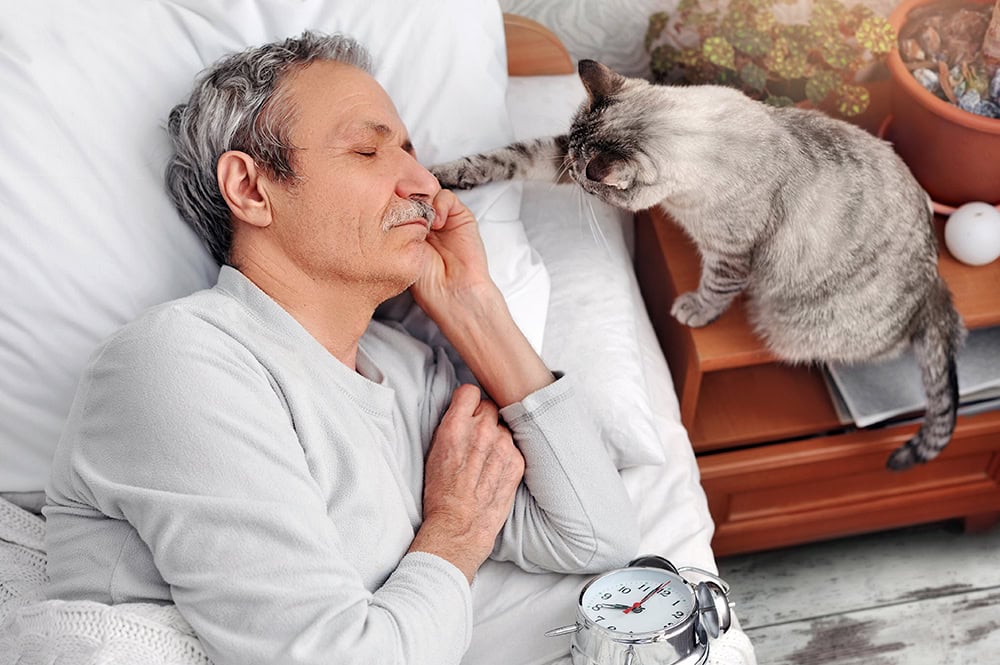 cat waking up the senior man in bed