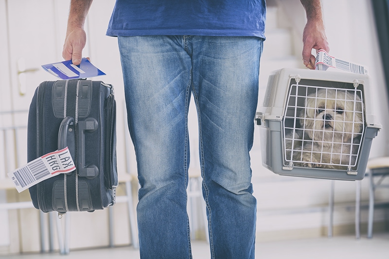 dog inside a carrier held by a man at the airport