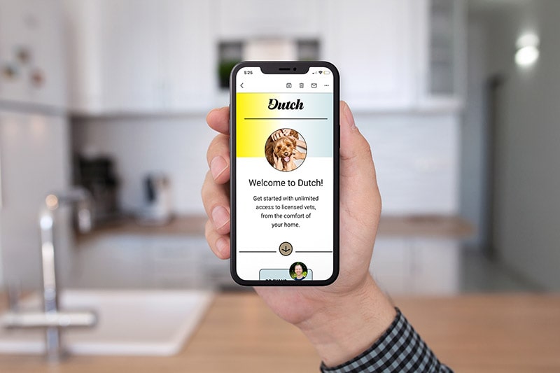 dutch online vet service welcome page