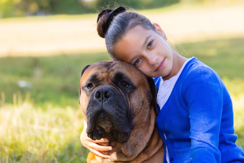 girl hugging a bullmastiff dog outdoors