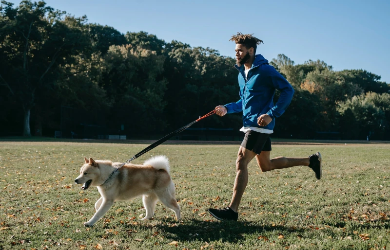 man running with akita inu dog outdoors