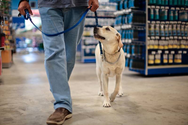man with his dog in a leash inside a store