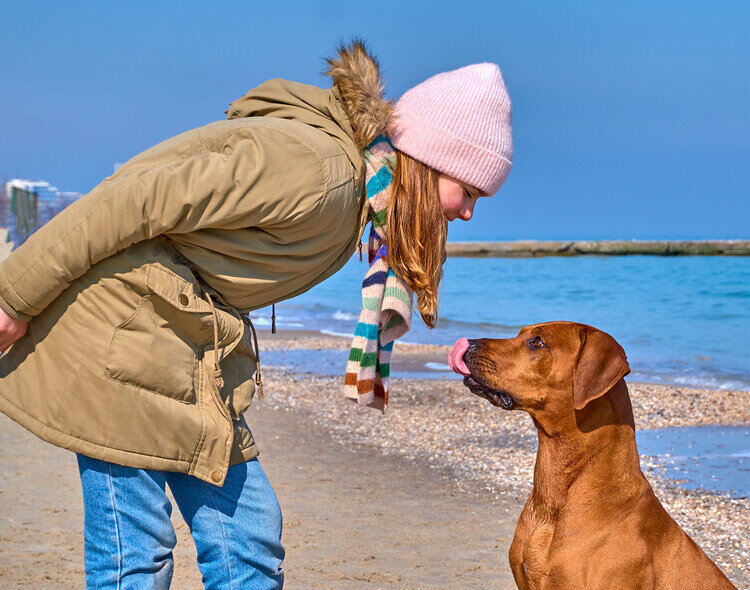 rhodesian-ridgeback-training-owner-beach