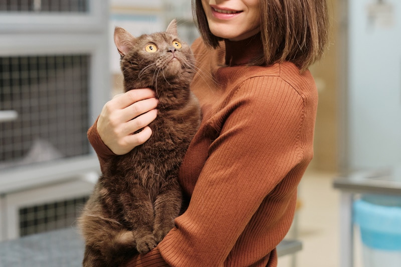 woman holding cat