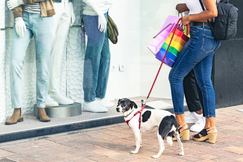 woman shopping with her dog at the mall