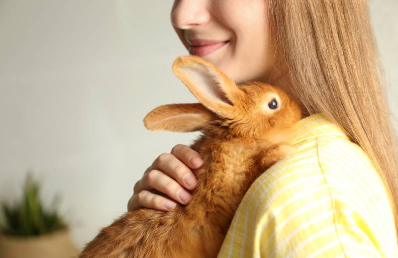 young woman holding adorable rabbit