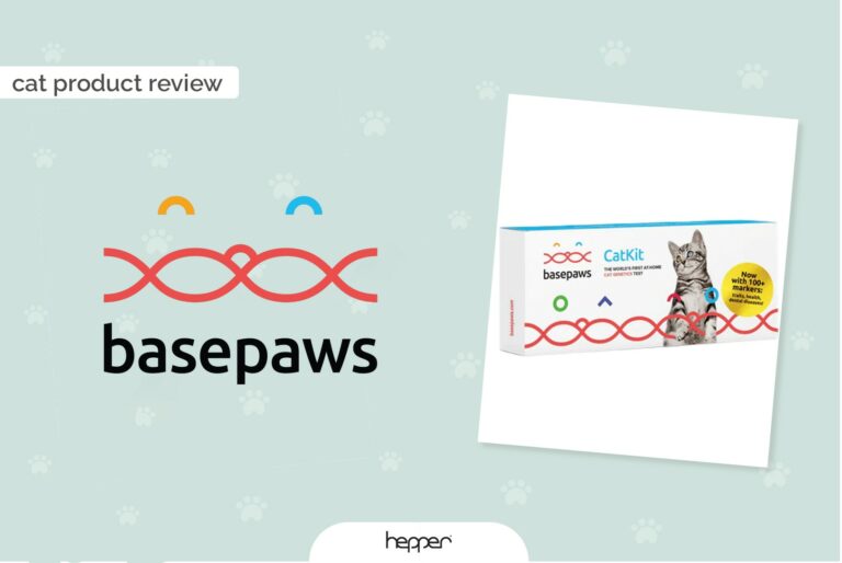 Basepaws Cat Breed + Health DNA Test Review 2024 Our Expert’s Opinion