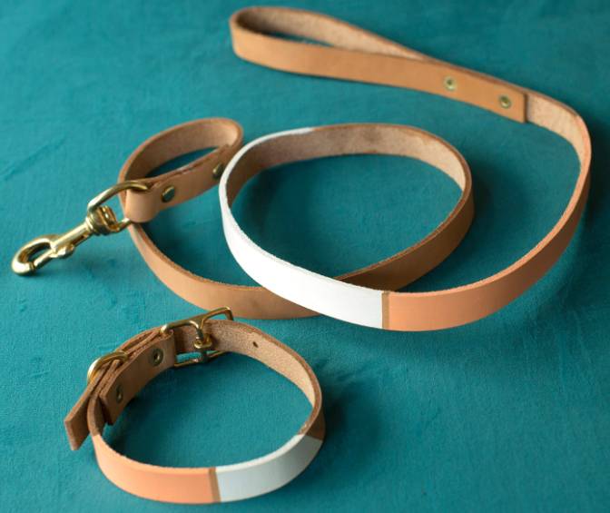 DIY Leather Dog Collar & Leash