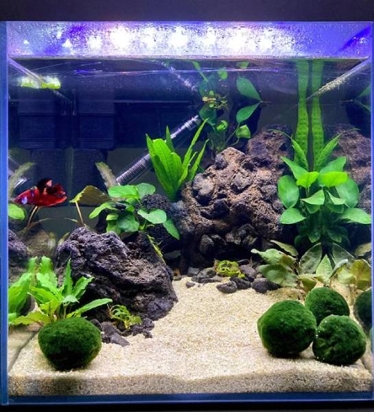 DIY Aquarium Decoration ideas with Stones | 5 Amazing Fish Tank Decoration  (Easy) - YouTube