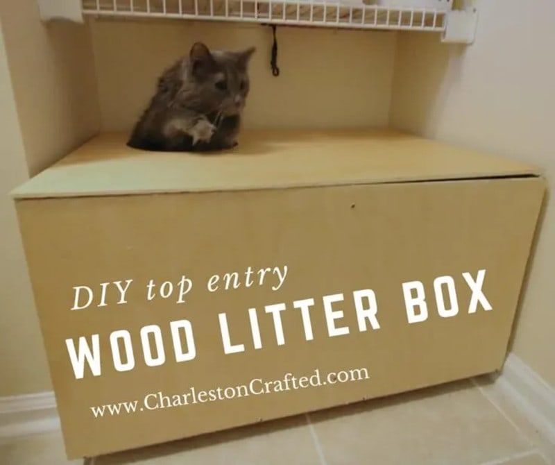 DIY Top Entry Litter Box Enclosure