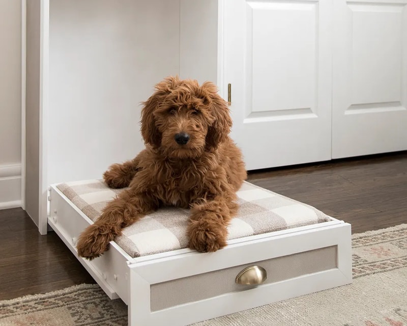 DIY raised dog bed