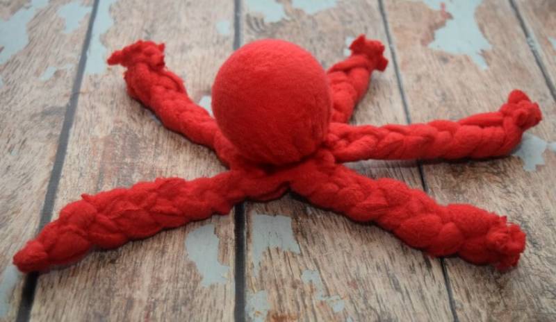 DIY sweet potato dog toy