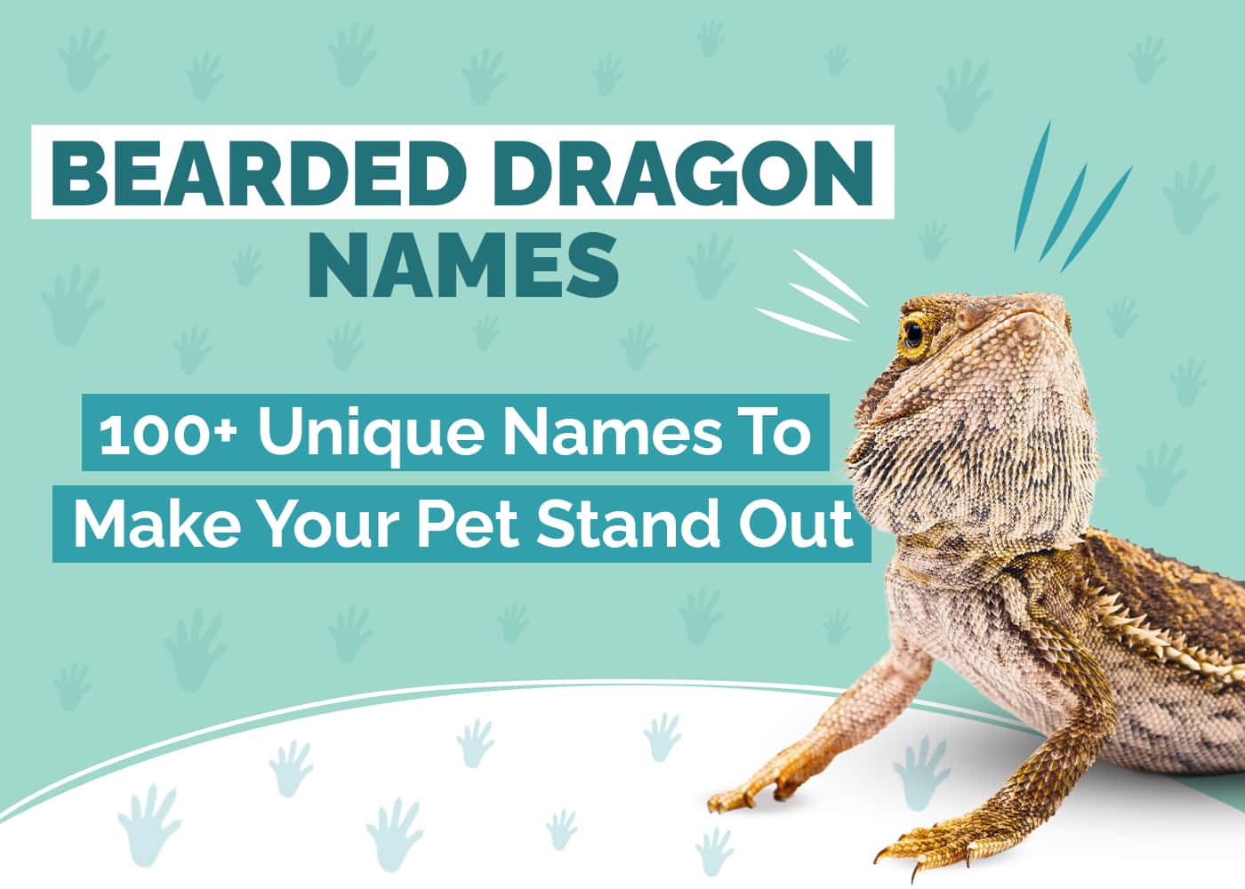 100+ Unique Names for Bearded Dragons To Make Your Pet Stand Out Hepper
