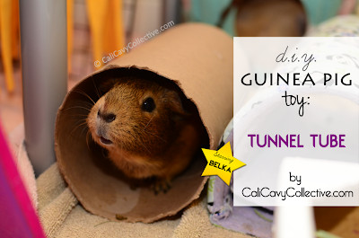 Homemade Guinea Pig Toy DIY- Tunnel Tube1