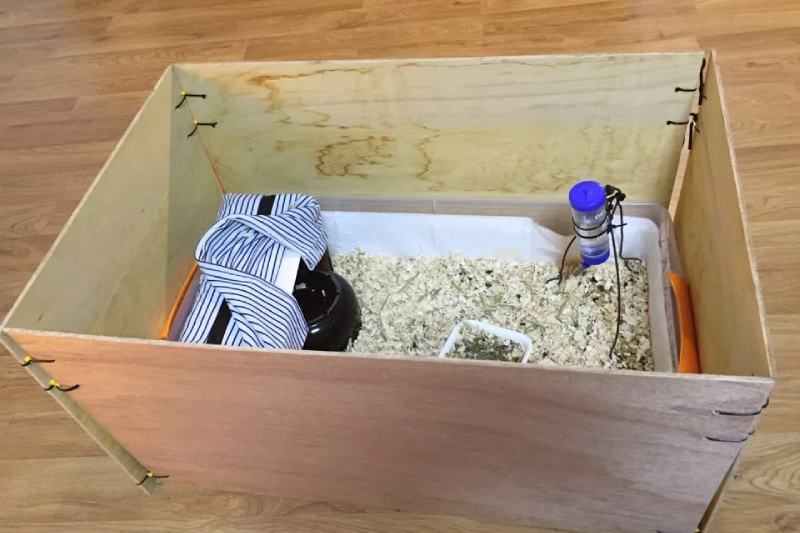 15 DIY Guinea Pig Cage Plans You Can Build Today (With Pictures