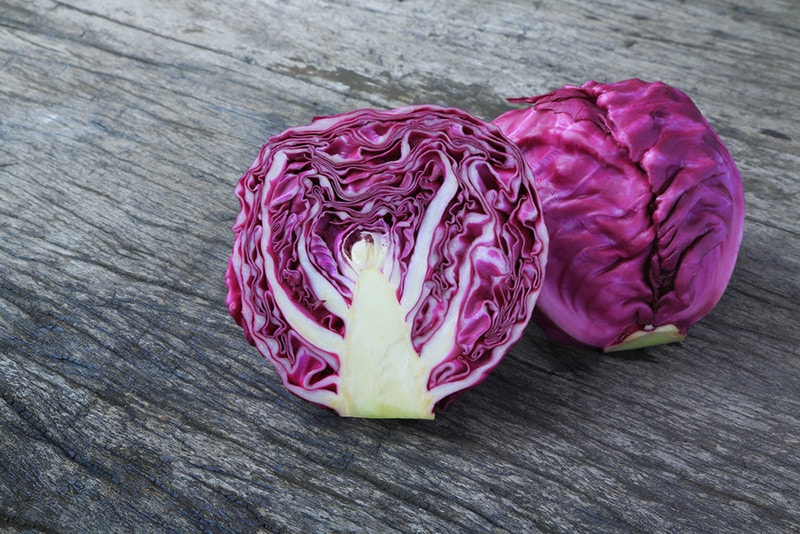 Red cabbage Red cabbage