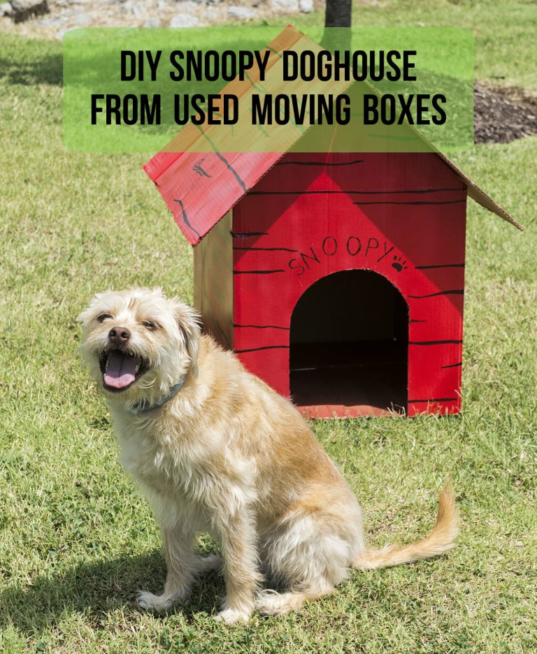 DIY Snoopy Doghouse From Used Moving Boxes