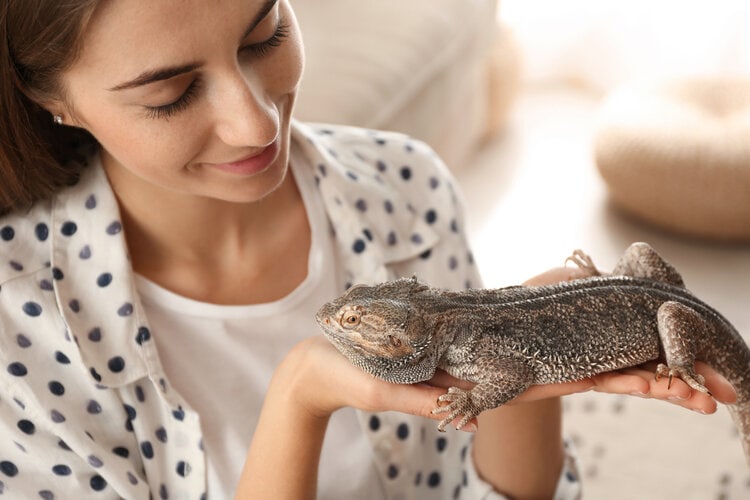 Woman holding bearded dragon