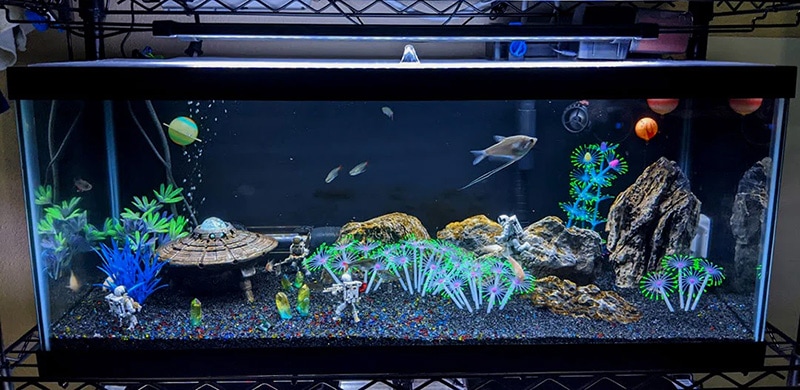 4 DIY Aquarium Themes & 11 Ideas To Inspire You To Create Your Own