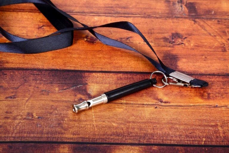 Can Deaf Dogs Hear a Dog Whistle? Vet Reviewed Facts & FAQ Hepper