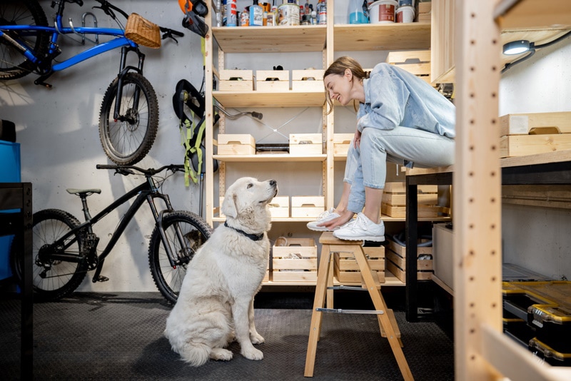 dog with his owner inside garage