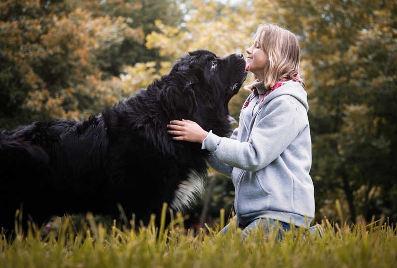 newfoundland dog with his owner