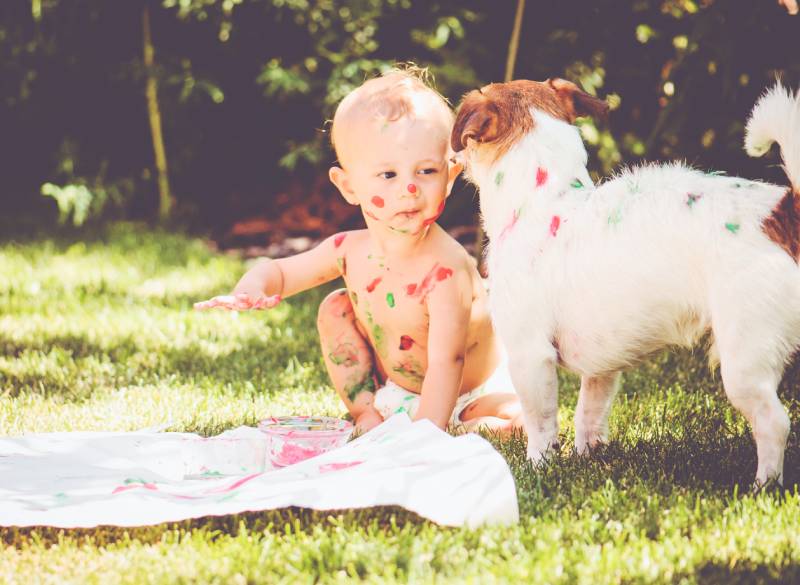 one year old baby painting on his body and on dog