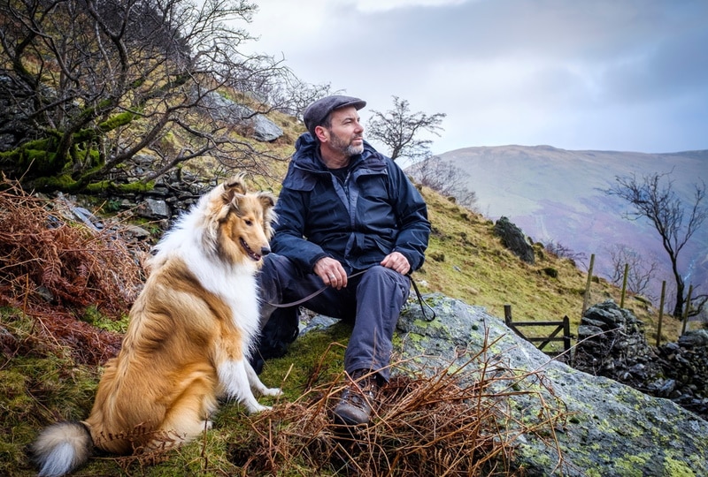 rough collie dog with owner on mountain side