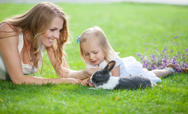 Young woman and her daughter playing with a pet rabbit in a park_Photobac_Sutterstock