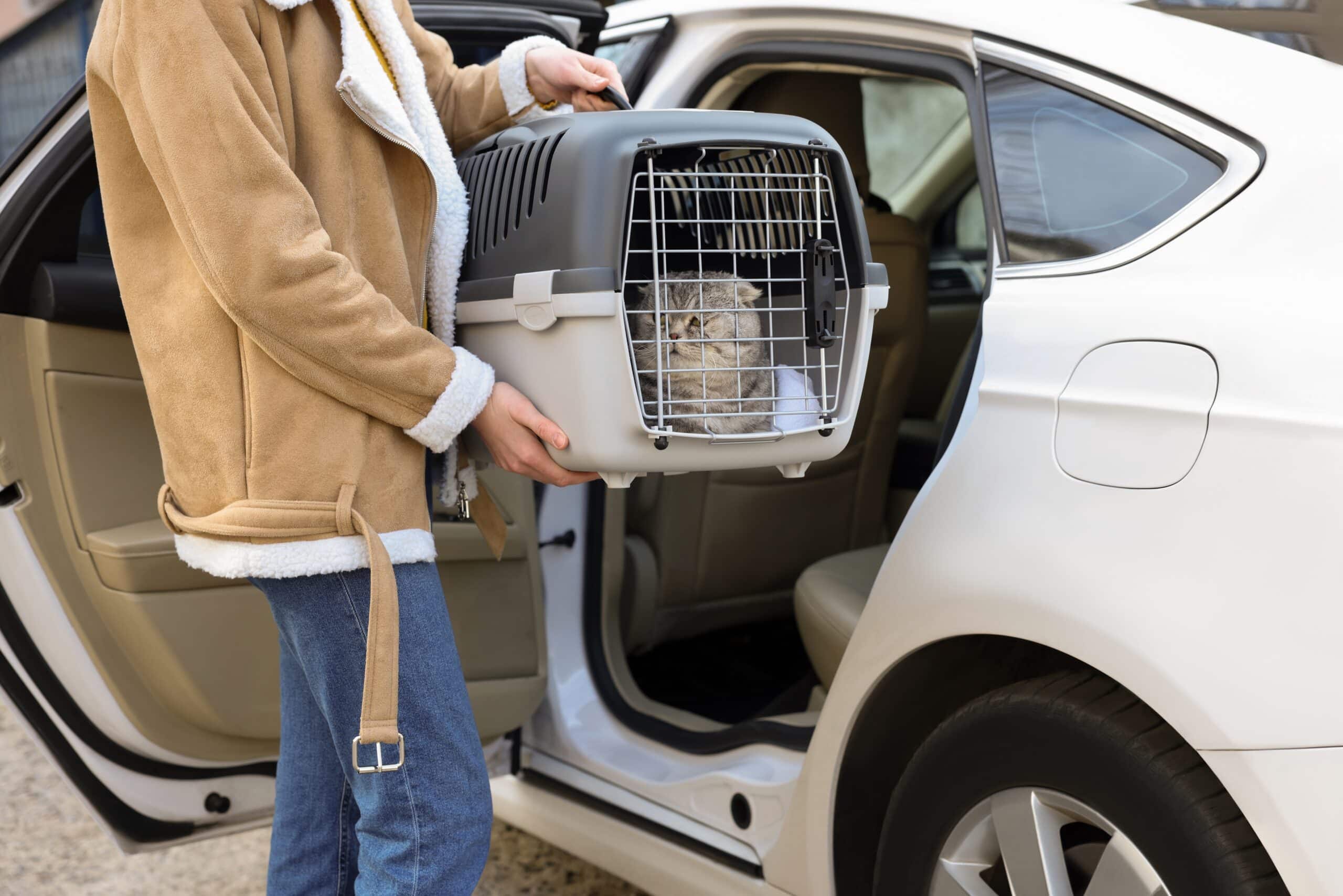 Woman holding a cat in a carrier, placing into car