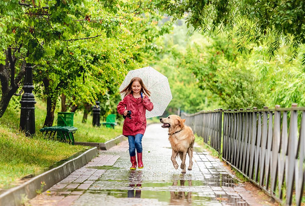 young girl and her dog running in the rain