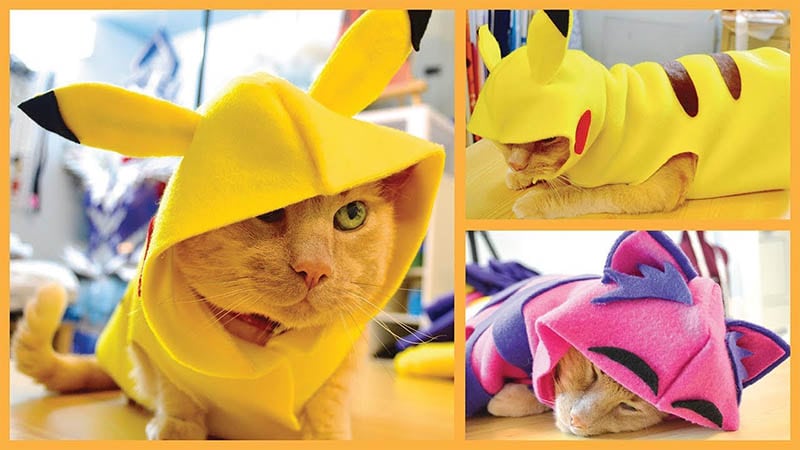 DIY Cat & Dog Clothes - Pikachu, Hoodies & More!