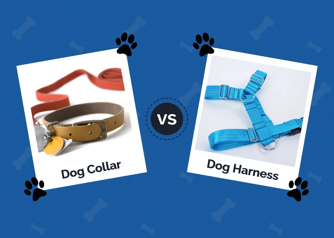 Dog Collar vs. Harness Which Is Better for Your Dog? Visual