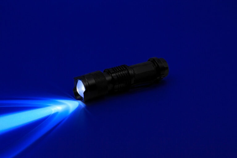 10 Best Black Lights for Dog Urine Detection 2024 Reviews & Top Picks
