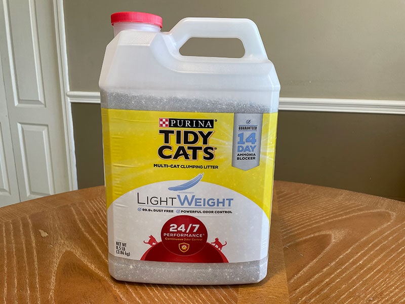 Lightweight Kitty Litter Recall Shelly Lighting