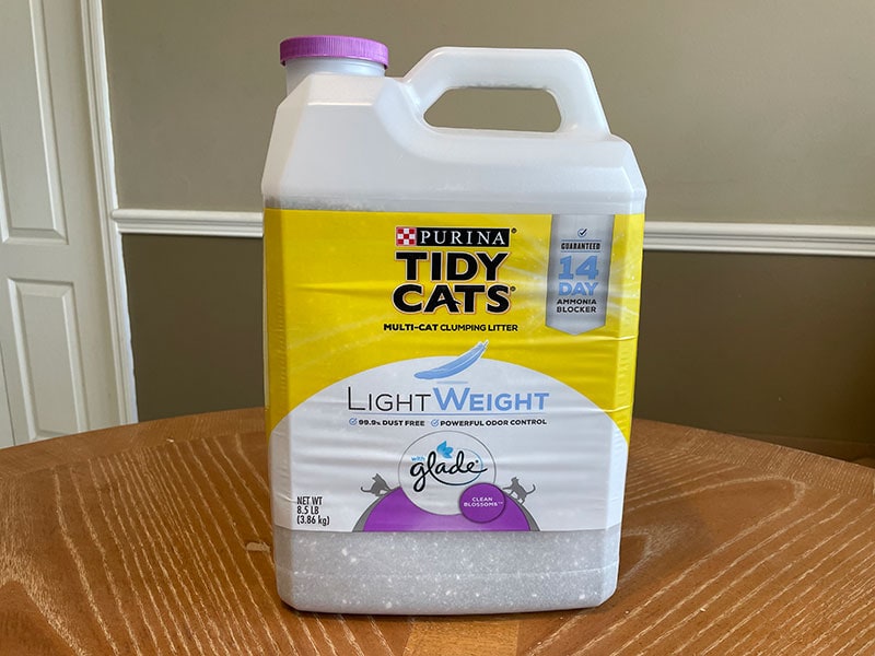 Lightweight Kitty Litter Recall Shelly Lighting