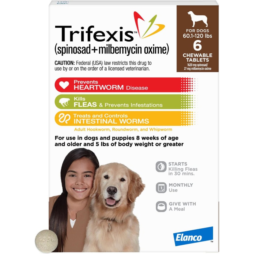 6 Best Flea Pills for Dogs 2024 Reviews & Top Picks Hepper