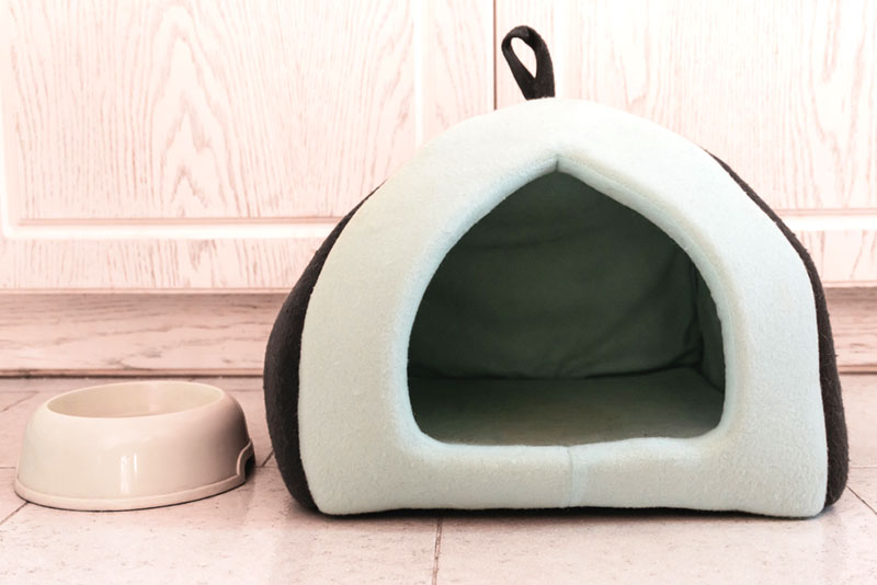 a pet igloo house ang feeding bowl