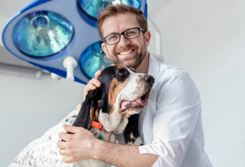 a smiling male vet with a basset hound in his clinic