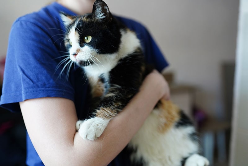 a woman hugging a cat in a shelter