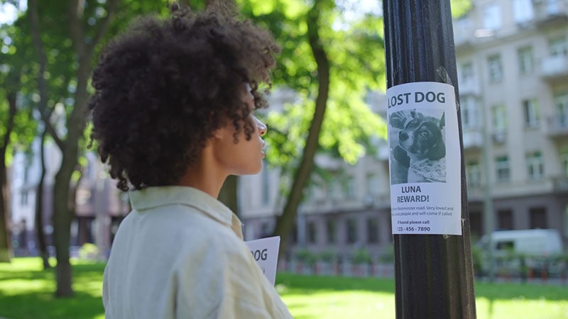 a woman placing missing dog poster