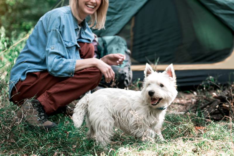 girl having fun with dog in forest